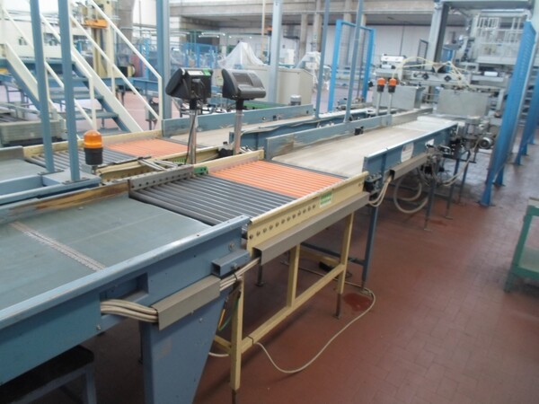 4#69013 Linea di selezione e confezionamento kiwi-pesche in vendita - foto 24