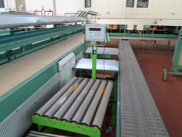 4#69013 Linea di selezione e confezionamento kiwi-pesche in vendita - foto 28