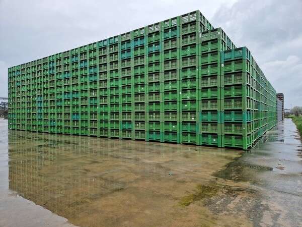 8#69015 Bins in legno e plastica in vendita - foto 2