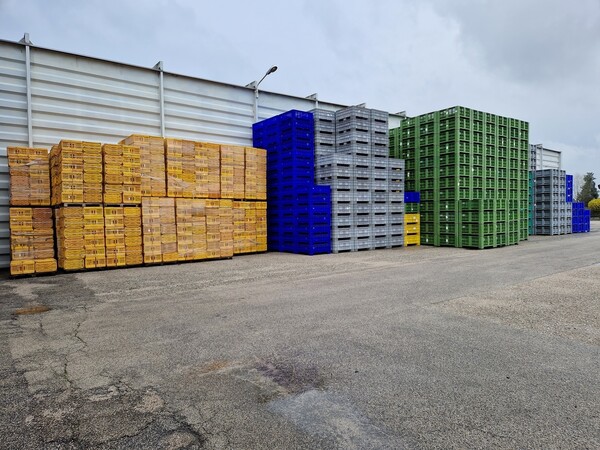8#69015 Bins in legno e plastica in vendita - foto 6