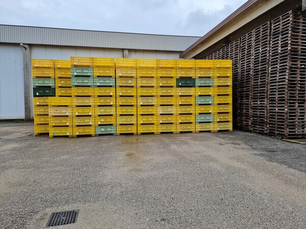 8#69015 Bins in legno e plastica in vendita - foto 7