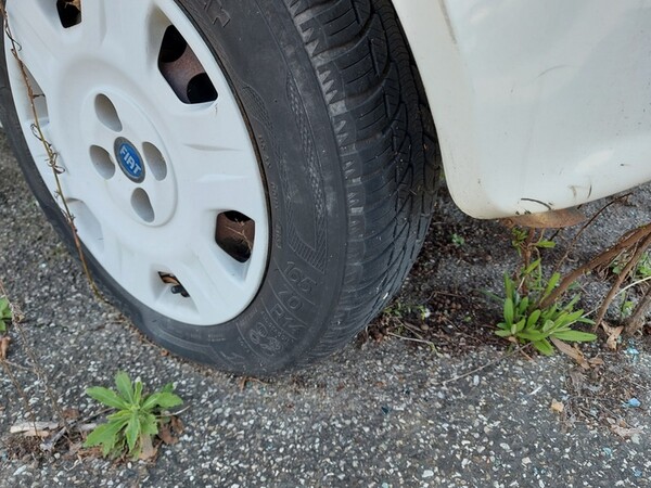 2#6914 Furgoni Fiat in vendita - foto 17
