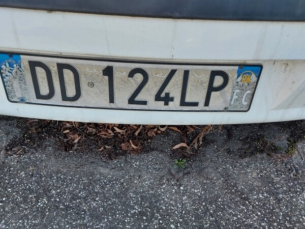 2#6914 Furgoni Fiat in vendita - foto 25