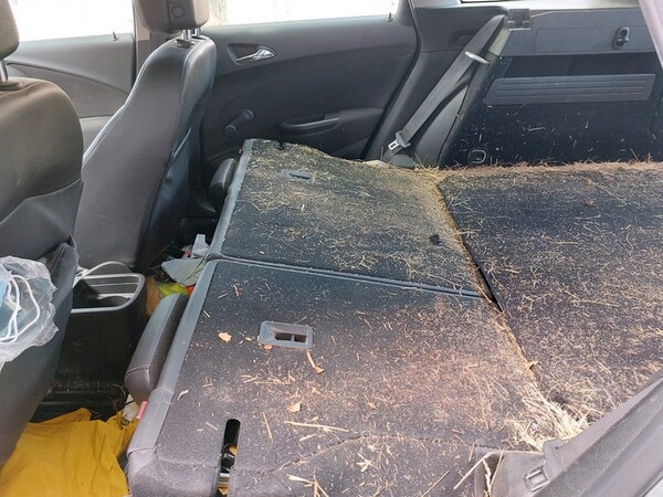 1#6925 Autovettura Opel Astra in vendita - foto 14