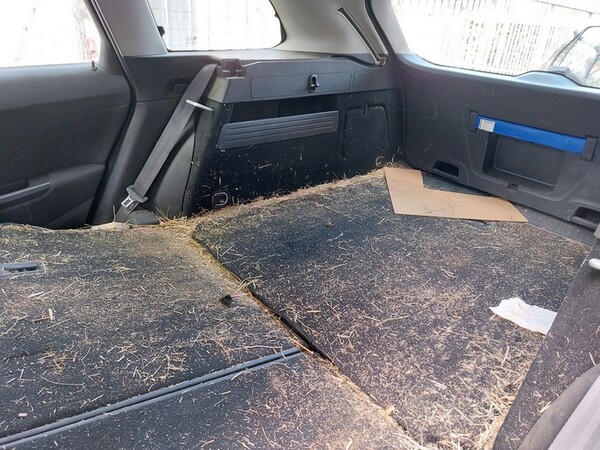 1#6925 Autovettura Opel Astra in vendita - foto 15