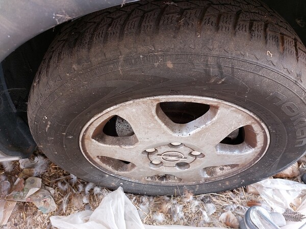 2#6925 Autovettura Opel Zafira in vendita - foto 5