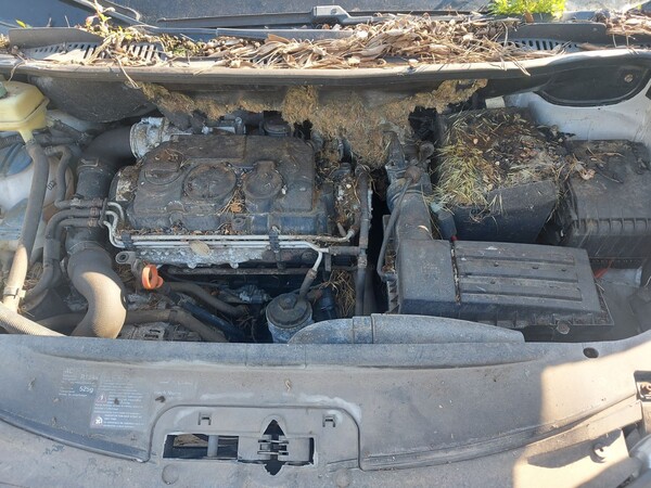 1#6945 Furgone isotermico Volkswagen Caddy e attrezzature da negozio in vendita - foto 10