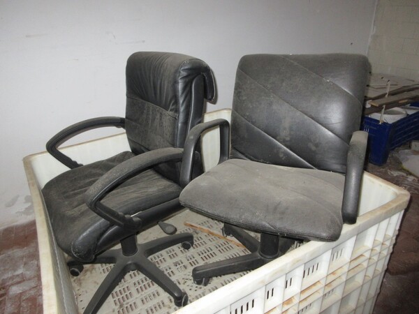 4#6978 Carrello elevatore Pegaso e Trapano Easy Work in vendita - foto 30