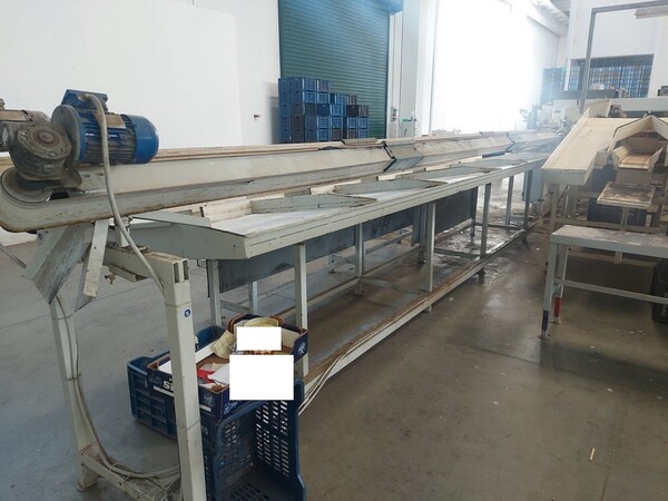 1#6985 Linea di lavorazione ortofrutta in vendita - foto 9