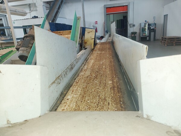 1#6985 Linea di lavorazione ortofrutta in vendita - foto 12