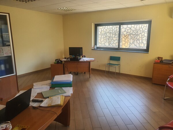 1#6989 Cessione d'azienda dedita a trattamento legno e produzione pellets in vendita - foto 41