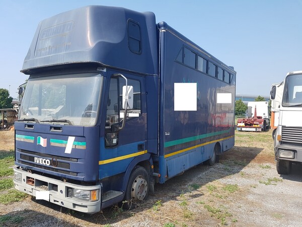 2#6993 Furgone Iveco per trasporto animali vivi in vendita - foto 1