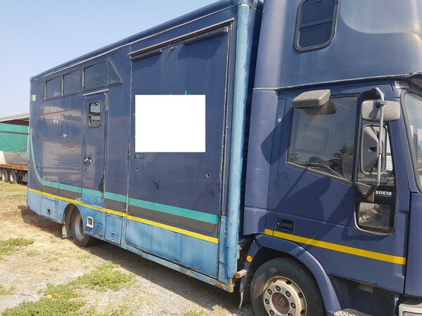 2#6993 Furgone Iveco per trasporto animali vivi in vendita - foto 5