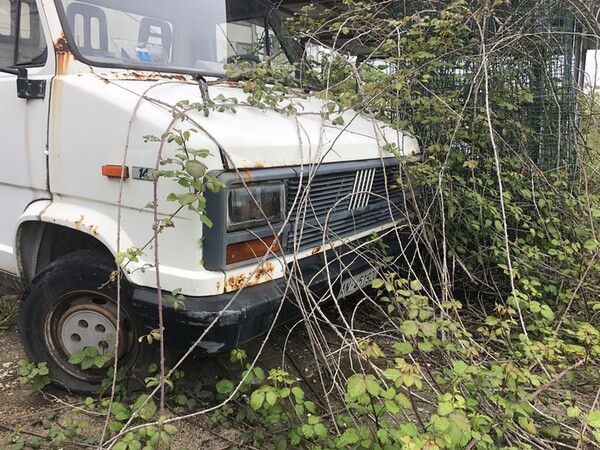 12#7004 Autocarro Fiat Ducato in vendita - foto 3