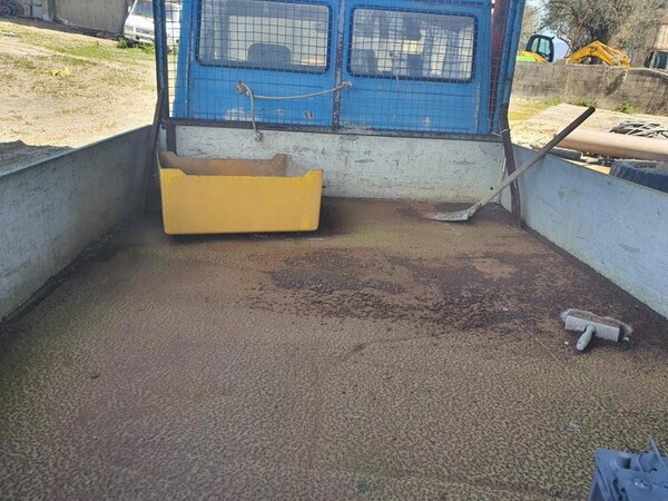 4#7029 Autocarro Iveco in vendita - foto 3