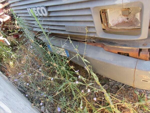 2#7037 Autocarro Iveco con gru in vendita - foto 7