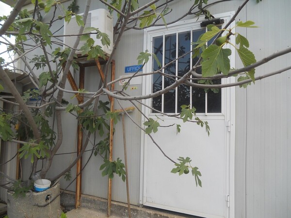 10#7053 Arredamento uso ufficio ed attrezzature informatiche in vendita - foto 1