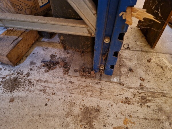 32#7057 Scaffalatura e coclea Borghi in vendita - foto 23