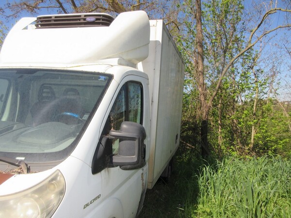 3#7070 Autocarro Fiat Ducato con cassone frigorifero in vendita - foto 11