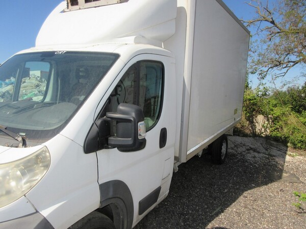 4#7070 Autocarro Fiat Ducato con cassone frigorifero in vendita - foto 1