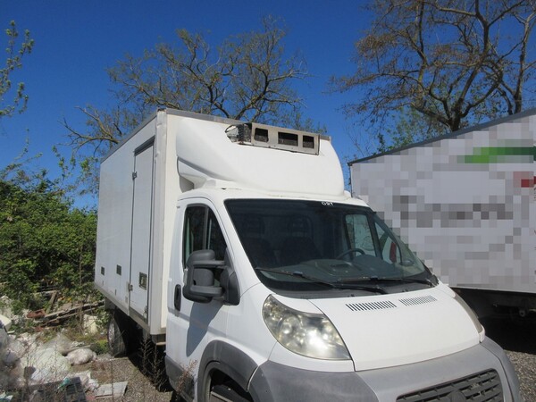 4#7070 Autocarro Fiat Ducato con cassone frigorifero in vendita - foto 17