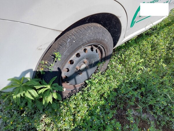 3#7110 Autoveicolo per uso speciale Fiat Punto in vendita - foto 4