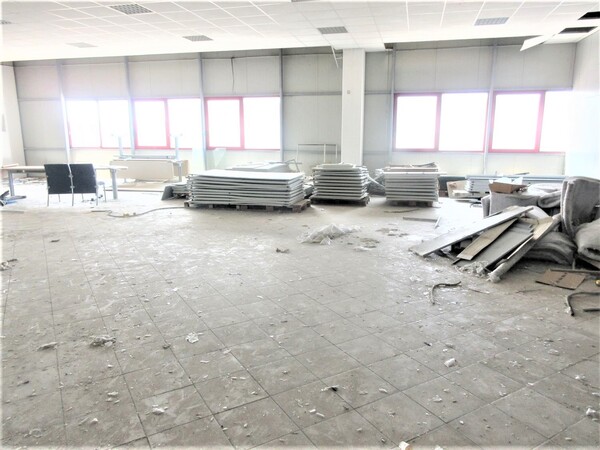 1#7136 Strumenti da laboratorio per industria molitoria e arredi ufficio in vendita - foto 62