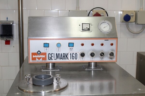 12#7210 Freezer continuo Gelmark in vendita - foto 7