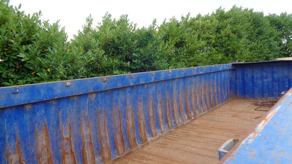 4#7214 Container in vendita - foto 5