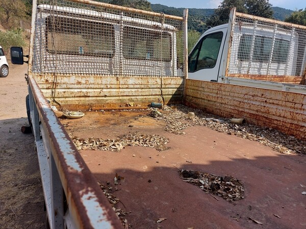 2#7215 Camion Daily Iveco in vendita - foto 7
