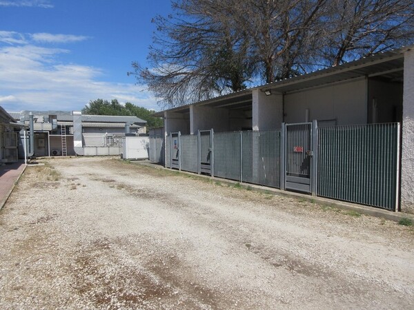 1#7217 Cessione di azienda dedita a produzione radiofarmaci in vendita - foto 7