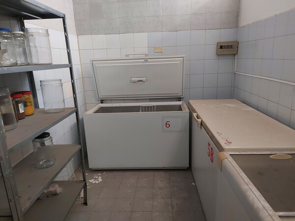 2#7224 Attrezzzature per cucine industriali in vendita - foto 28