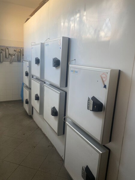 8#7248 Celle abbattitore in vendita - foto 13