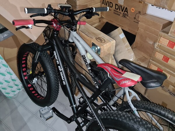 39#7255 Bici elettriche e moto elettrica in vendita - foto 14