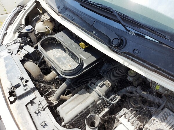 46#7305 Autovettura Fiat Scudo in vendita - foto 4