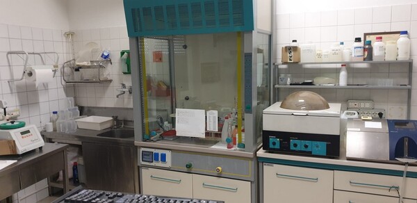 1#7331 Attrezzature per produzione di latte e derivati in vendita - foto 14