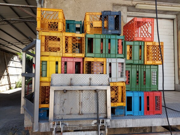 1#7332 Attrezzatura e macchinari per produzione latte in vendita - foto 29
