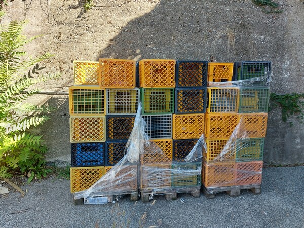 1#7332 Attrezzatura e macchinari per produzione latte in vendita - foto 30