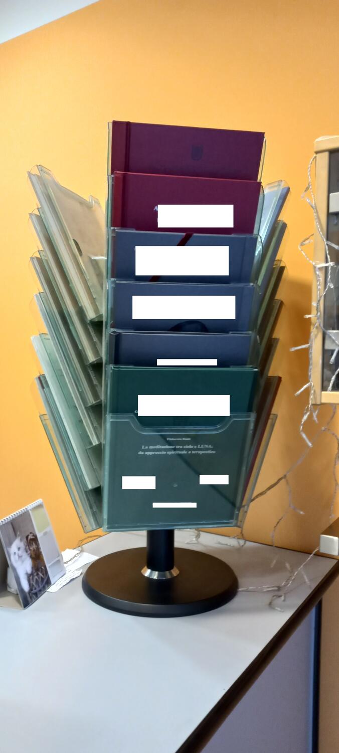 Lot Revolving magazine rack