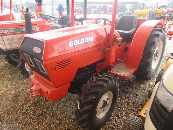 35#73950 Trattore agricolo Goldoni e Estirpatore in vendita - foto 1