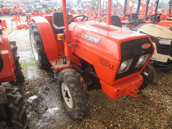 35#73950 Trattore agricolo Goldoni e Estirpatore in vendita - foto 4