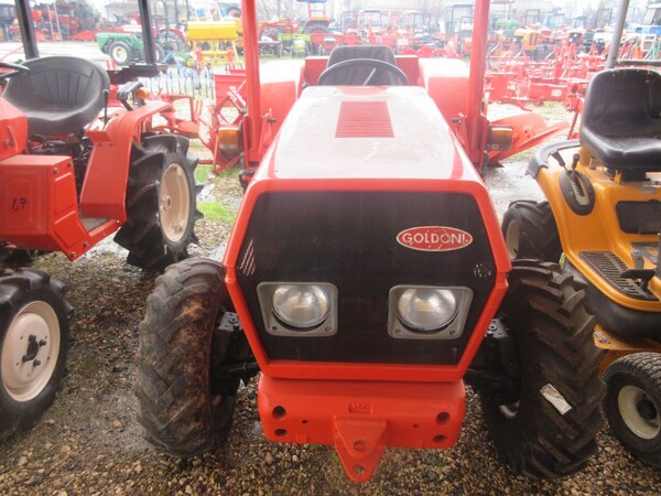 35#73950 Trattore agricolo Goldoni e Estirpatore in vendita - foto 5