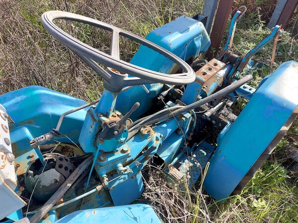 131#73951 Trattori agricoli e moto agricole in vendita - foto 17