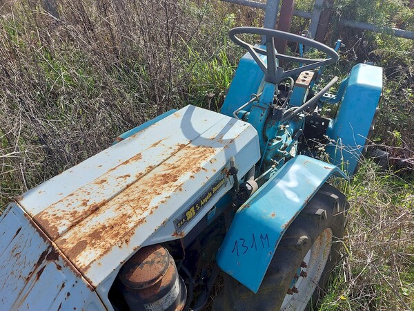 131#73951 Trattori agricoli e moto agricole in vendita - foto 18