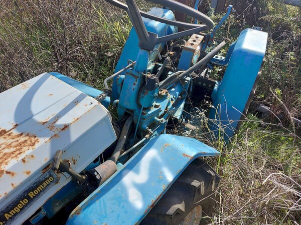 131#73951 Trattori agricoli e moto agricole in vendita - foto 24