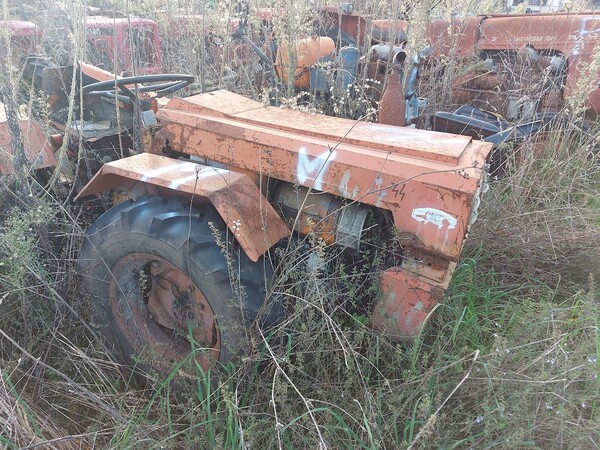 131#73951 Trattori agricoli e moto agricole in vendita - foto 26