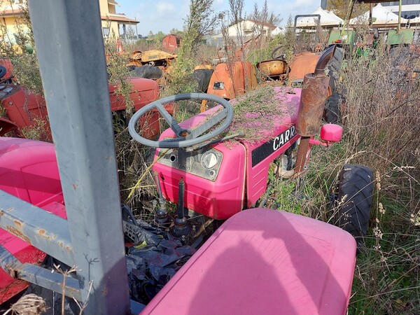 131#73951 Trattori agricoli e moto agricole in vendita - foto 38