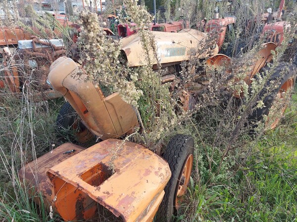 579#73951 Trattori agricoli e macchine dismessi in vendita - foto 174