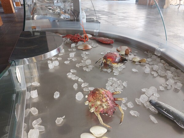 46#7396 Banco esposizione pesce Mondel in vendita - foto 3