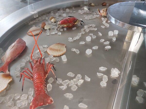 46#7396 Banco esposizione pesce Mondel in vendita - foto 4